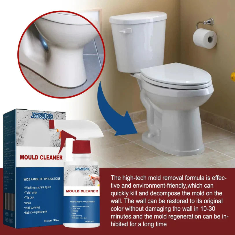 Mold Removal Spray