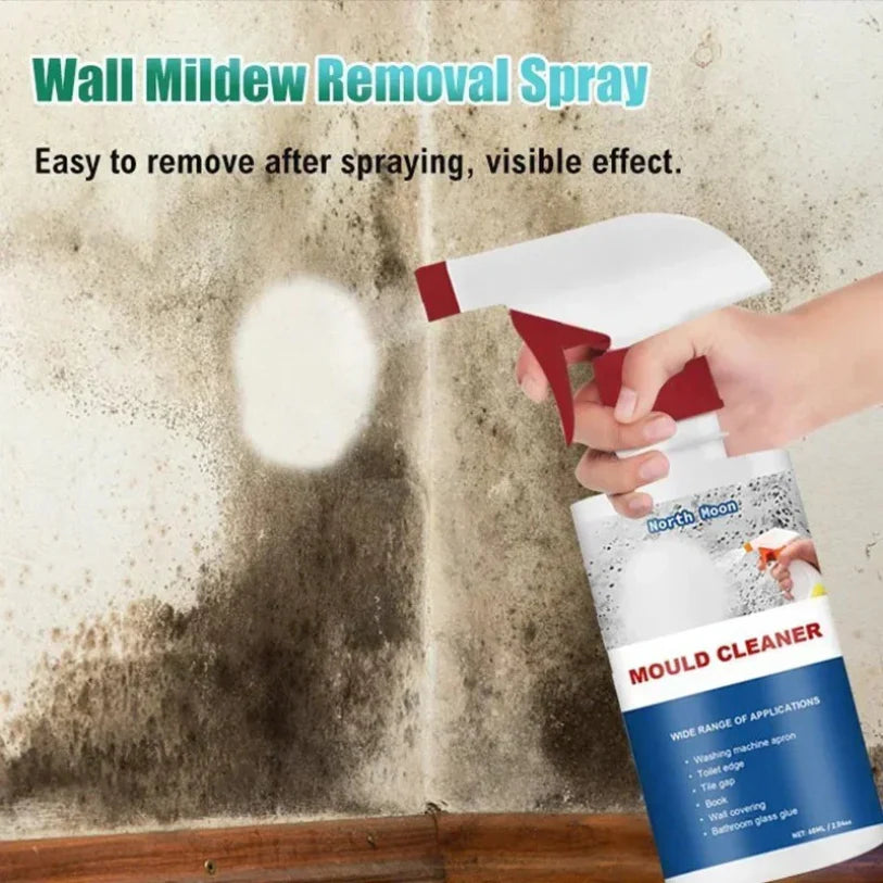 Mold Removal Spray